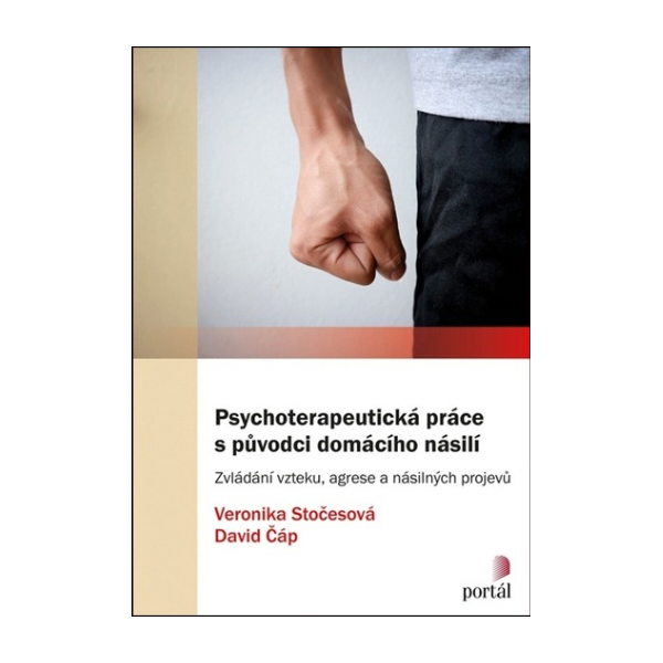Psychoterapeutická práce s původci domácího násilí