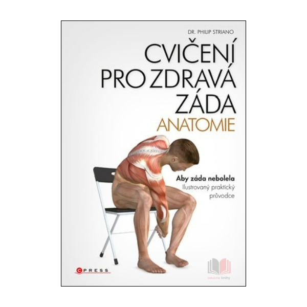 Cvičení pro zdravá záda - anatomie
