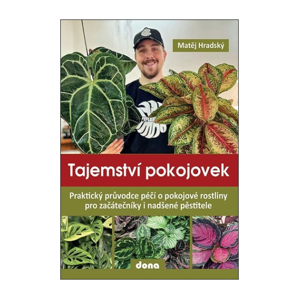 Tajemství pokojovek