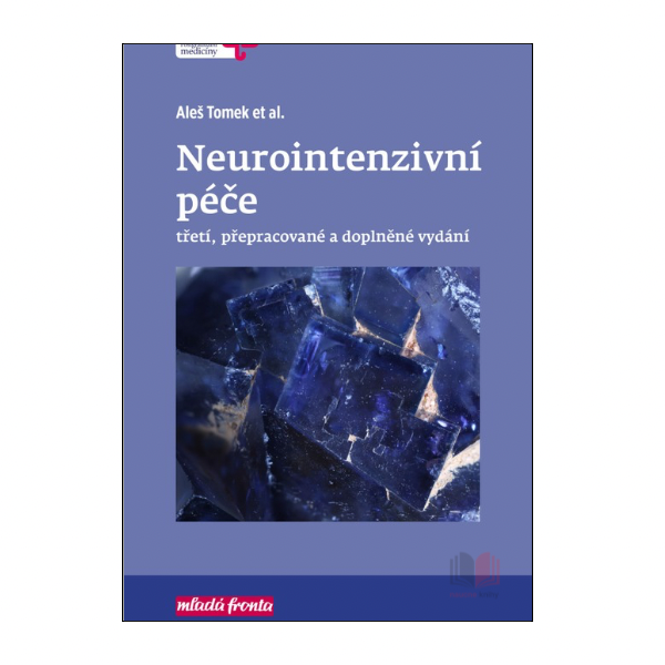 Neurointenzivní péče