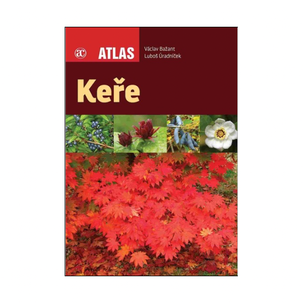 Keře. Atlas