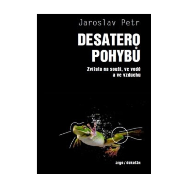 Desatero pohybů